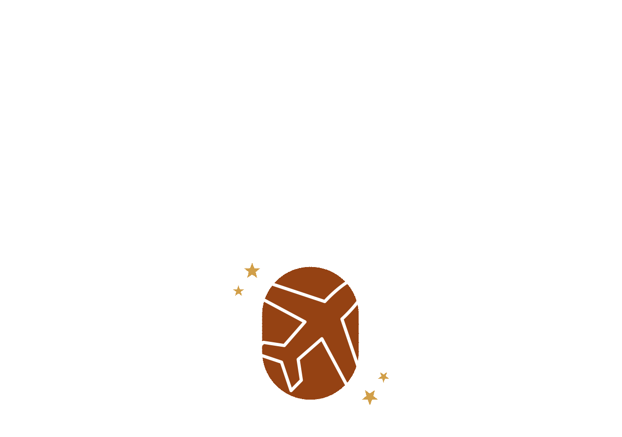 An illustrated outline of a plane sits underneath the words Starbucks® Starland: 50th Anniversary Edition.