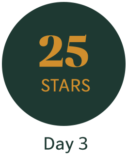 Day 3: 25 Stars