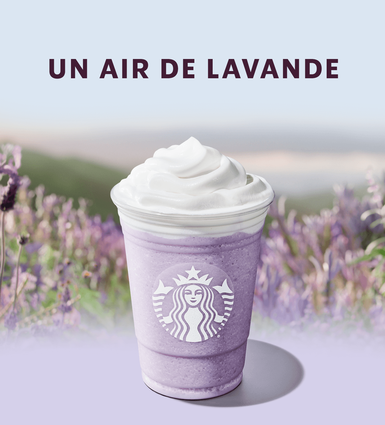 UN AIR DE LAVANDE | Une boisson frappée Frappuccino à la lavande devant un champ de lavande.