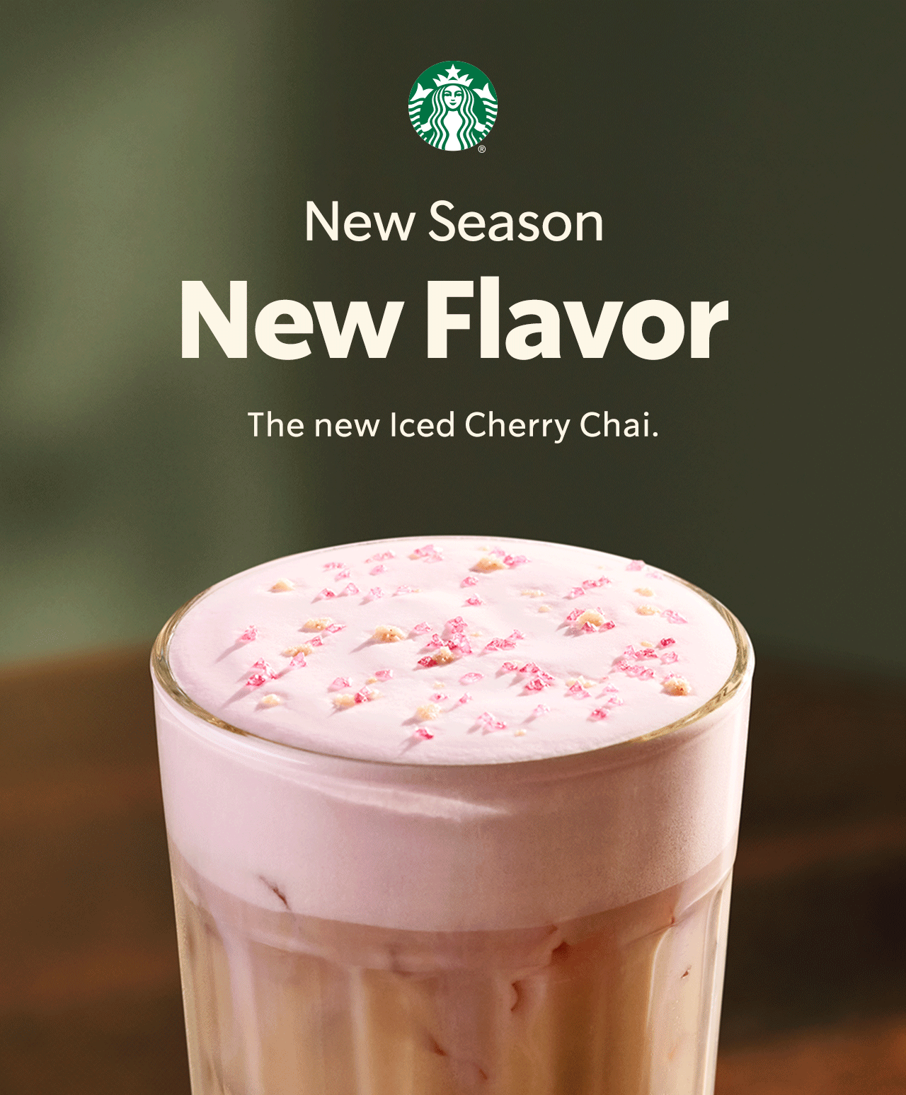 Zoomed-in photo of an Iced Cherry Chai that reads New Season, New Flavor. The new Iced Cherry Chai. Each letter of the phrase New Flavor turns from cream to pink, one at a time.